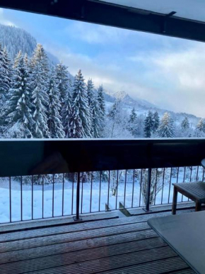 Beautiful 50m with a superb view of Megève